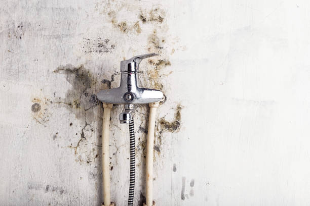 Best Home Mold Removal  in Patterson Tract, CA