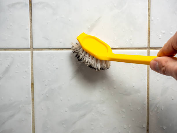 Best Mold Removal Company Near Me  in Patterson Tract, CA