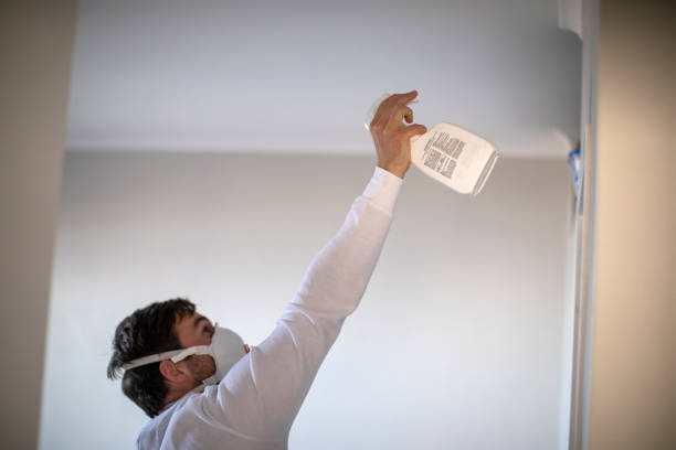Best Attic Mold Removal  in Patterson Tract, CA