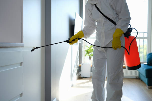 Mold Removal and Inspection in Patterson Tract, CA
