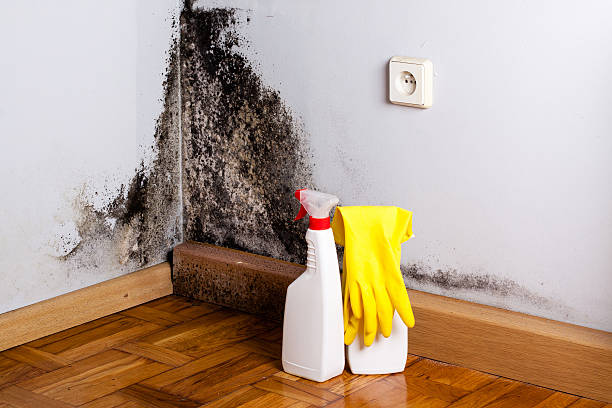 Best Mold Remediation  in Patterson Tract, CA